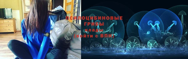 spice Алзамай