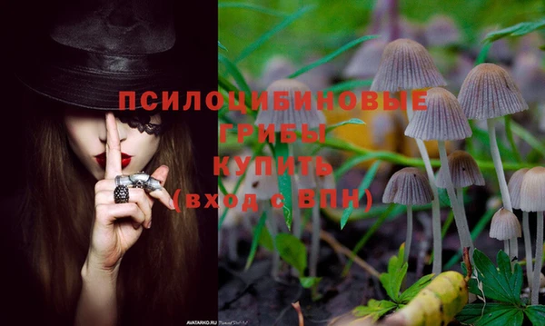 a pvp Алексин