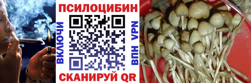 Псилоцибиновые грибы Psilocybe  Приморск 
